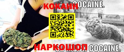 гашик Будённовск