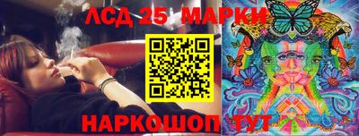 гашик Будённовск