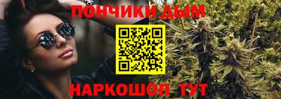 гашик Будённовск