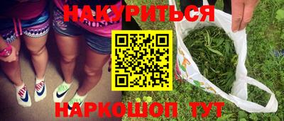 гашик Будённовск