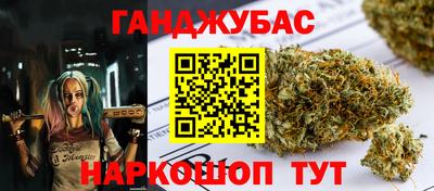 гашик Будённовск