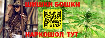 гашик Будённовск