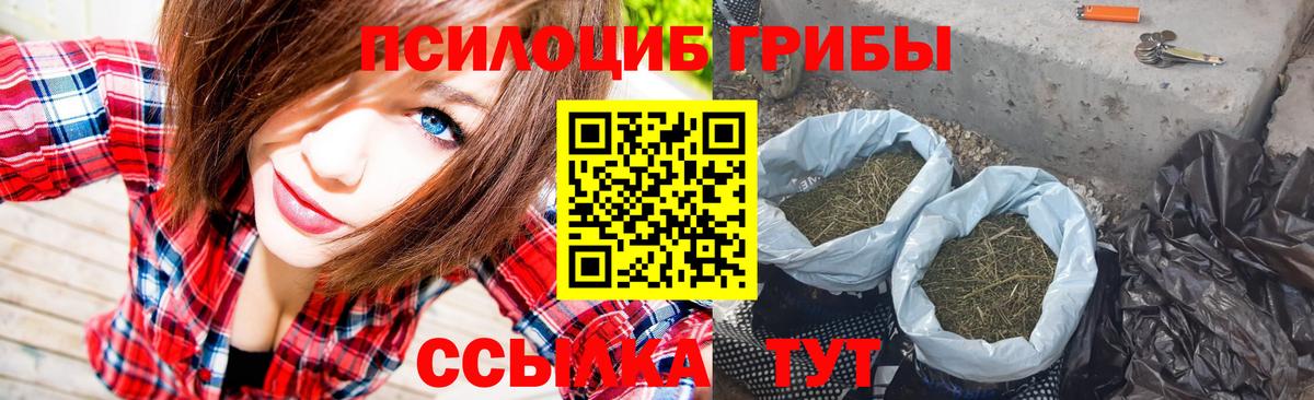 Чусовой  Галлюциногенные грибы ЛСД  Вход с VPN 
